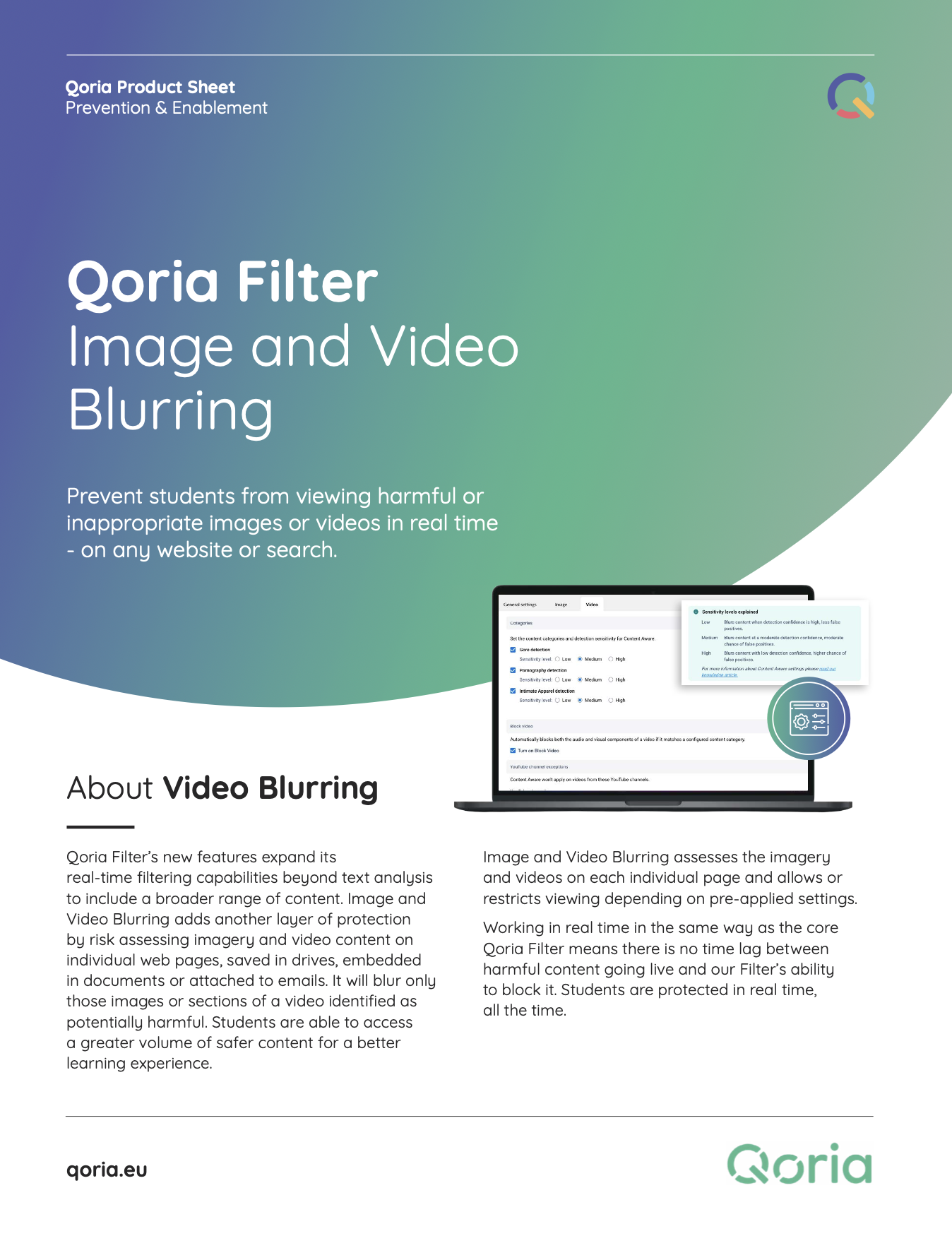 Image & Video Blurring - One Pager Thumbnail